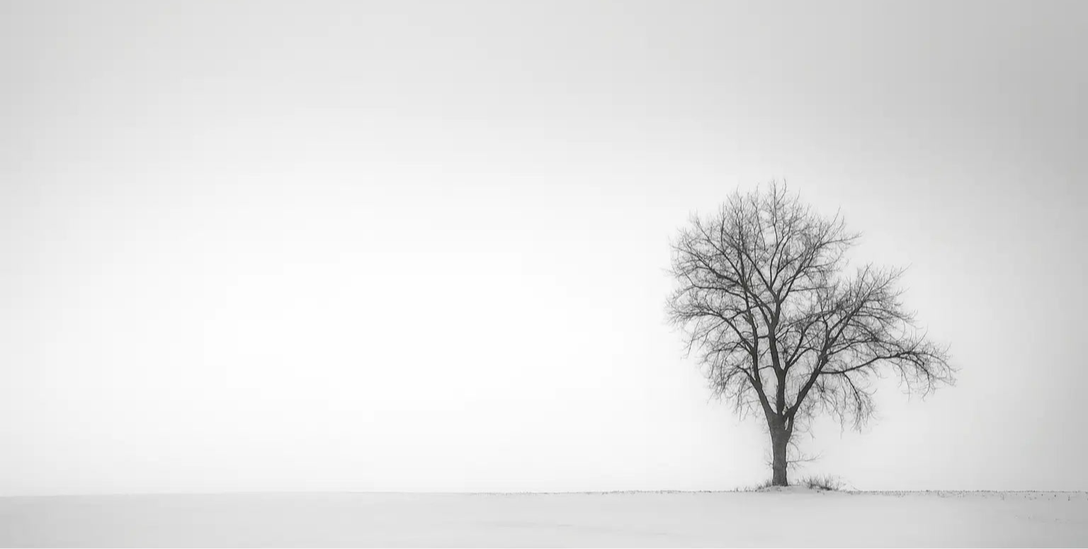 Lonely tree in a snowy landscape with a white sky